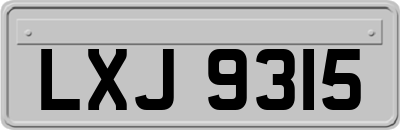 LXJ9315