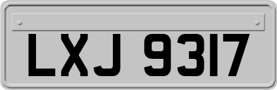 LXJ9317
