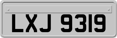 LXJ9319