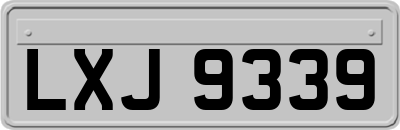 LXJ9339