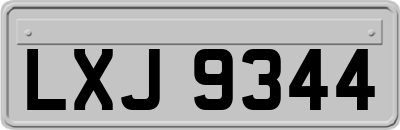 LXJ9344