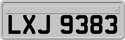 LXJ9383