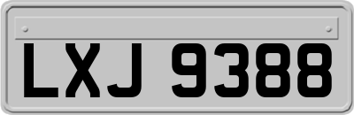 LXJ9388