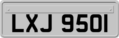 LXJ9501