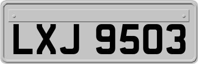 LXJ9503
