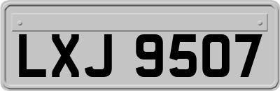 LXJ9507