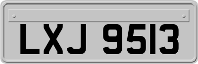LXJ9513