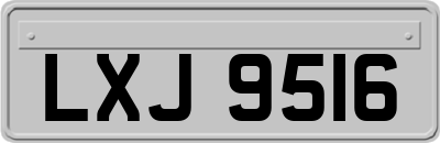 LXJ9516