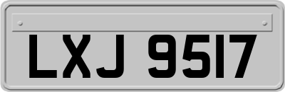 LXJ9517