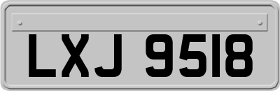 LXJ9518