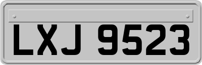 LXJ9523