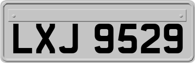 LXJ9529