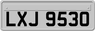 LXJ9530