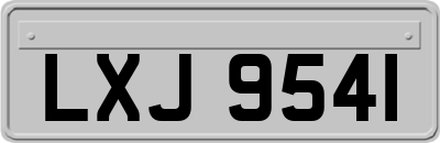 LXJ9541