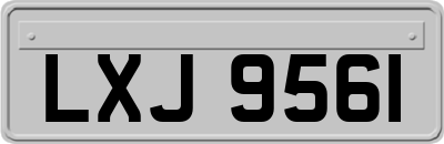 LXJ9561