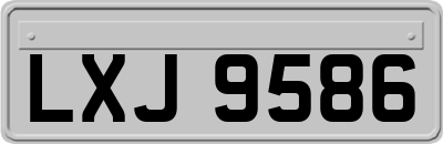 LXJ9586