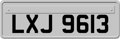 LXJ9613