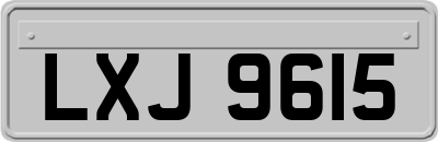 LXJ9615
