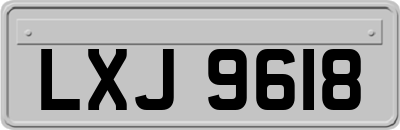 LXJ9618