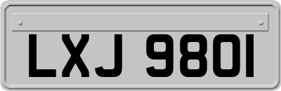 LXJ9801