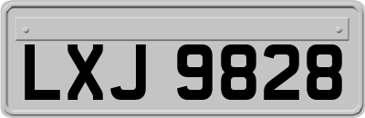 LXJ9828