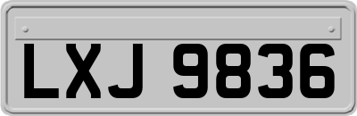 LXJ9836