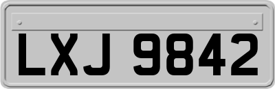 LXJ9842