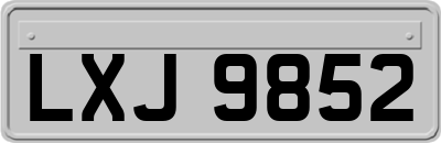 LXJ9852