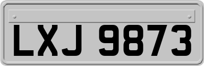 LXJ9873