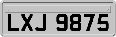 LXJ9875