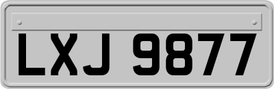 LXJ9877