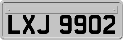 LXJ9902