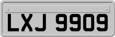 LXJ9909