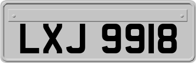 LXJ9918