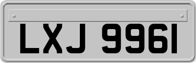 LXJ9961