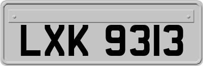 LXK9313