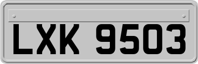 LXK9503