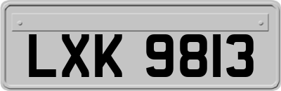 LXK9813