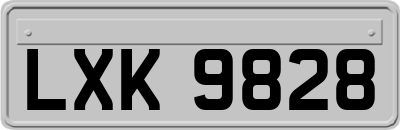 LXK9828