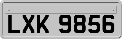 LXK9856
