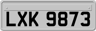 LXK9873