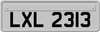 LXL2313