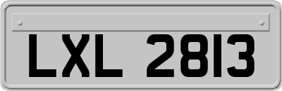 LXL2813