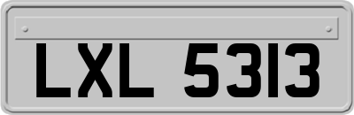 LXL5313