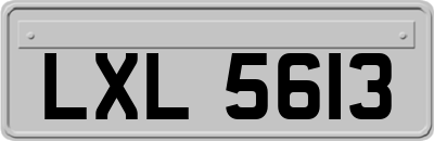 LXL5613