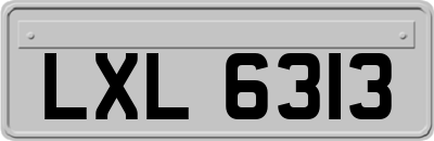 LXL6313