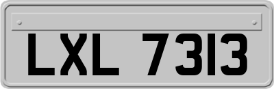 LXL7313