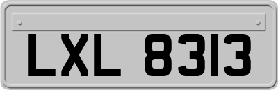 LXL8313