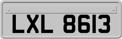 LXL8613