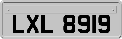 LXL8919